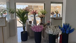 زهرة روند Ronde Flower